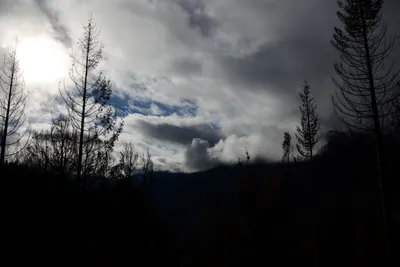 DSC_0879 (Large).JPG